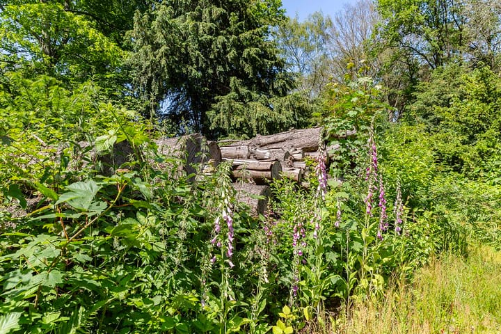 Photo 11 of Merseloseweg 121-B