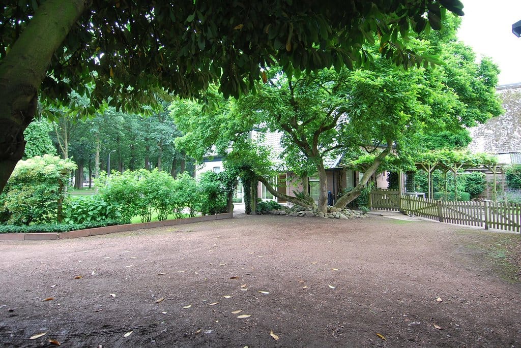 Foto 21 van Brink Z.Z. 12