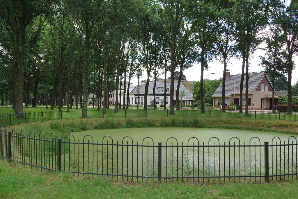 Foto 22 van Brink Z.Z. 12