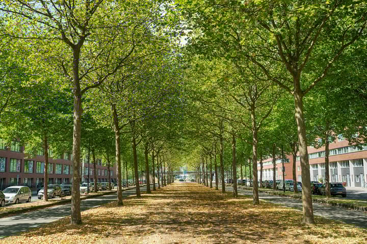 Photo 12 of Bijlmerdreef 830