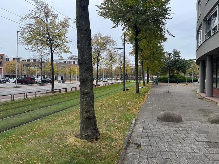 Foto 4 van Heer Bokelweg 98