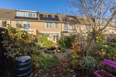 Noordwal 37 secondary image