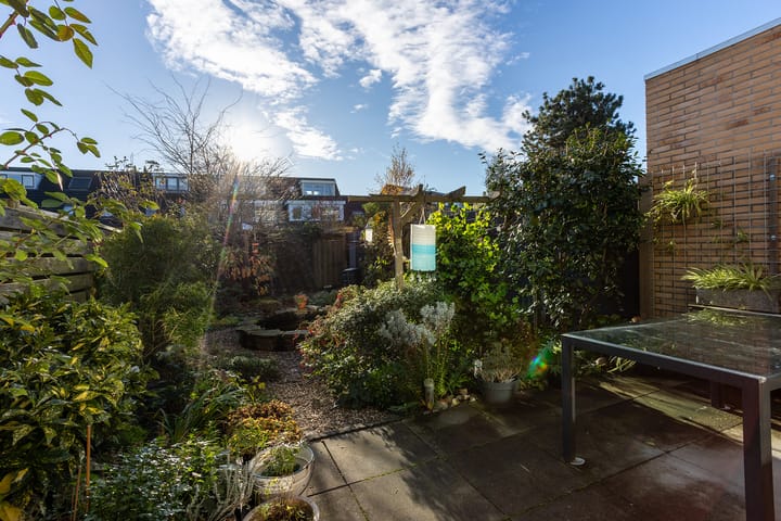 Photo 22 of Noordwal 37