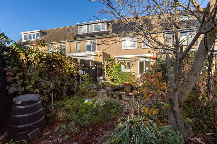 Photo 25 of Noordwal 37