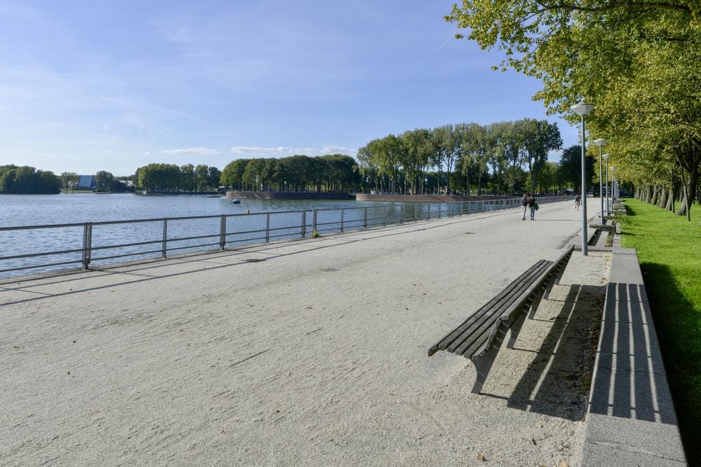 Photo 20 of Burgemeester Hogguerstraat 121