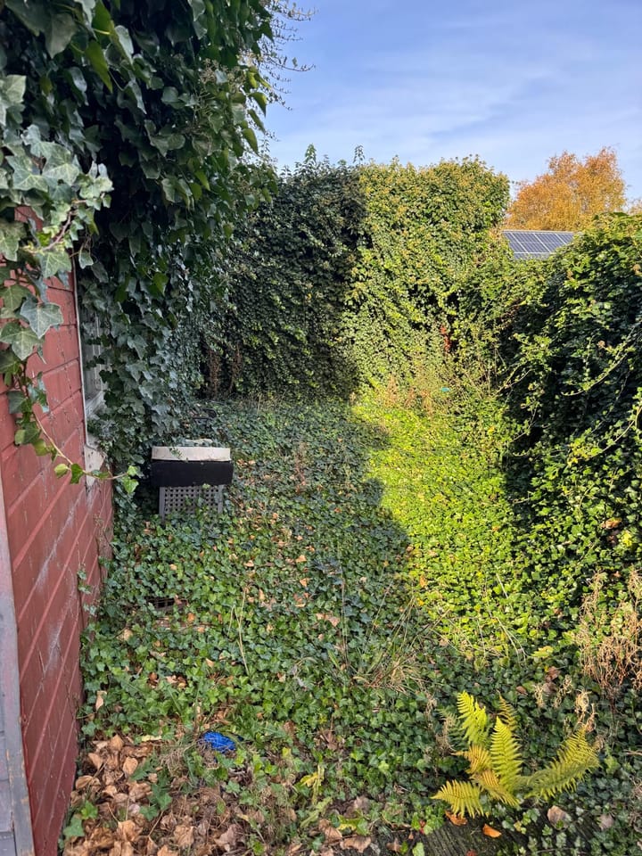 Foto 26 van Weerdingerkanaal NZ 242