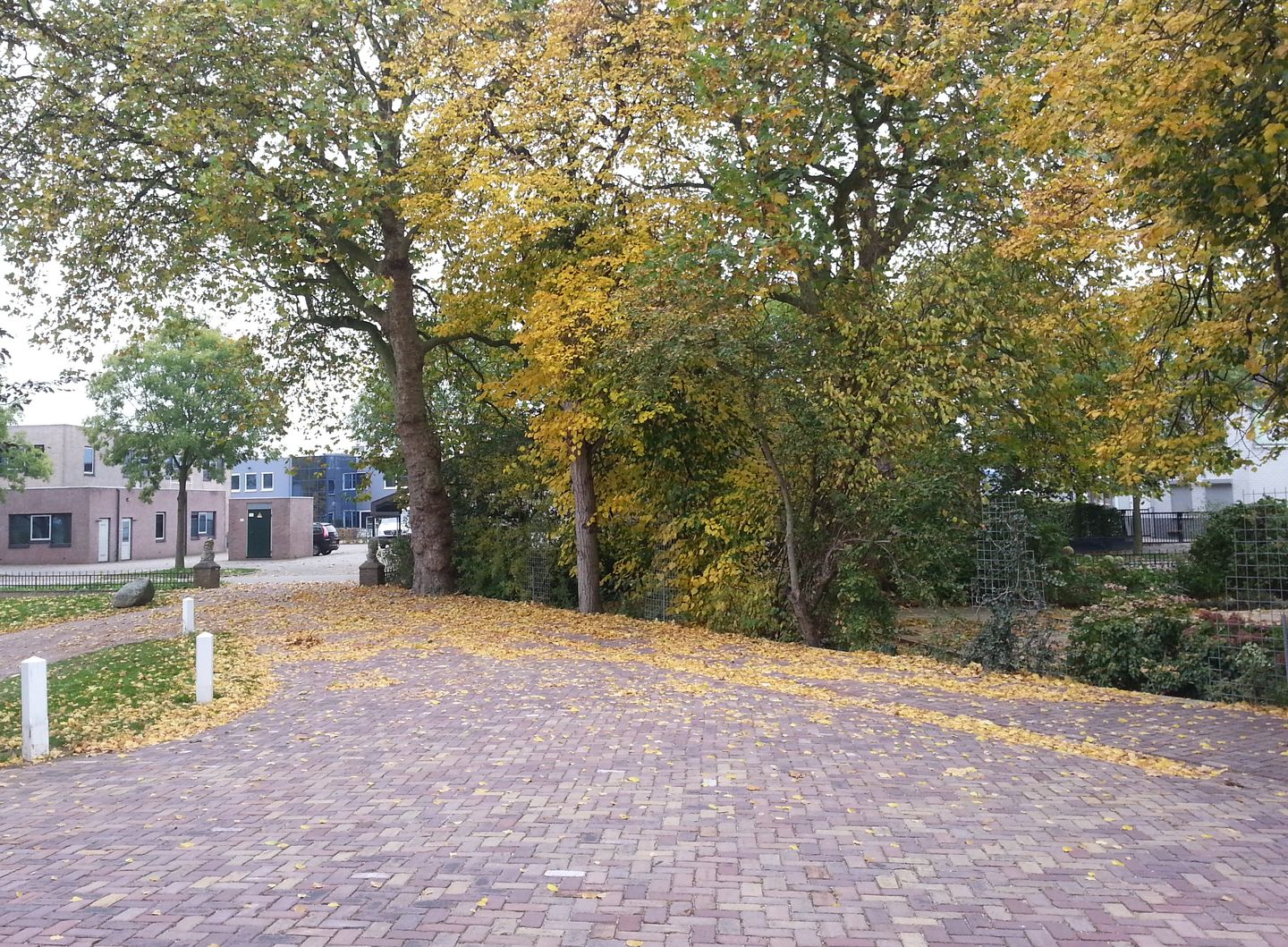 Bekijk foto 2 van Panoven 91-a