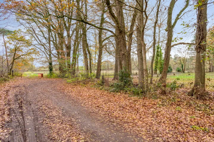 Photo 5 of Zevenbergseweg 50-A