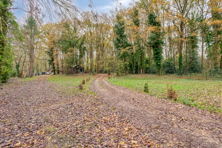 Photo 7 of Zevenbergseweg 50-A