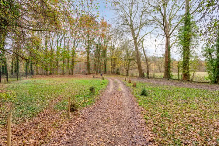 Photo 8 of Zevenbergseweg 50-A