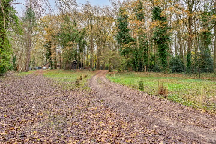 Photo 9 of Zevenbergseweg 50-A