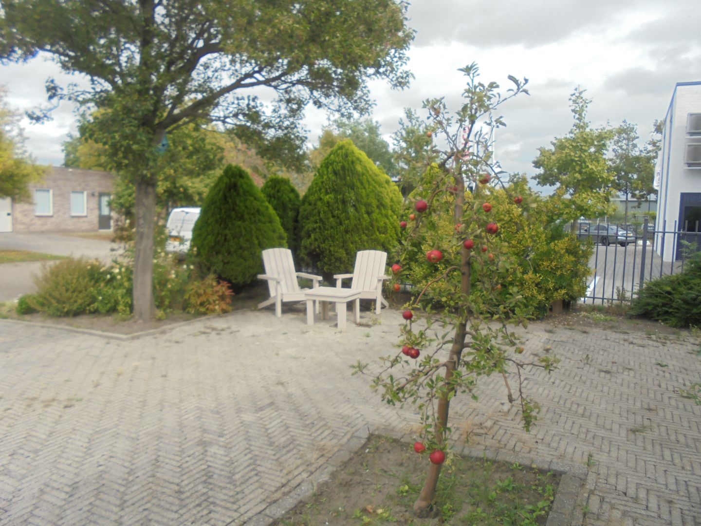 View photo 3 of Looierij 26