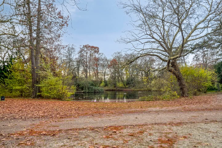 Foto 44 van Hermannus Elconiusstraat 4-BS