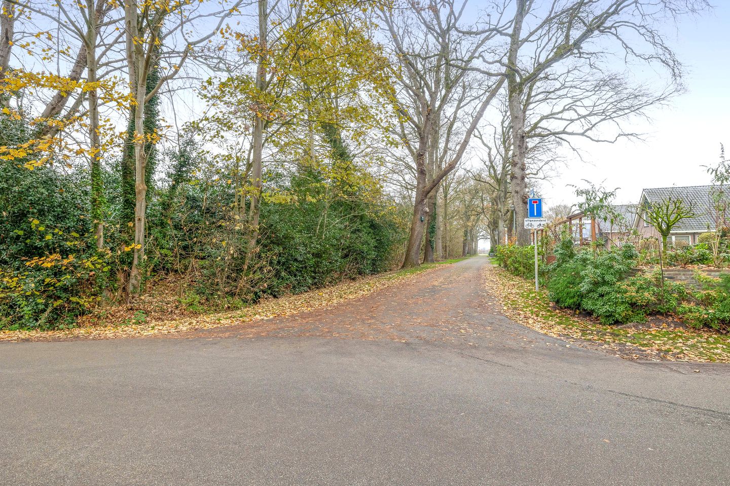 Foto 65 van Markeweg 7