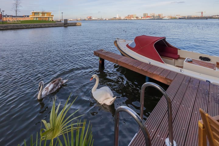 Libau-eiland 113 main image