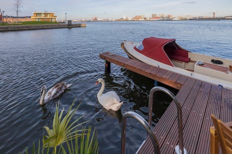 Libau-eiland thumbnail