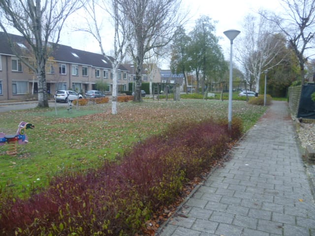 Foto 23 van Binnenhei 17