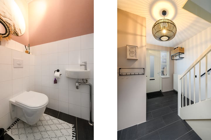 Foto 11 van Kleine vos 10