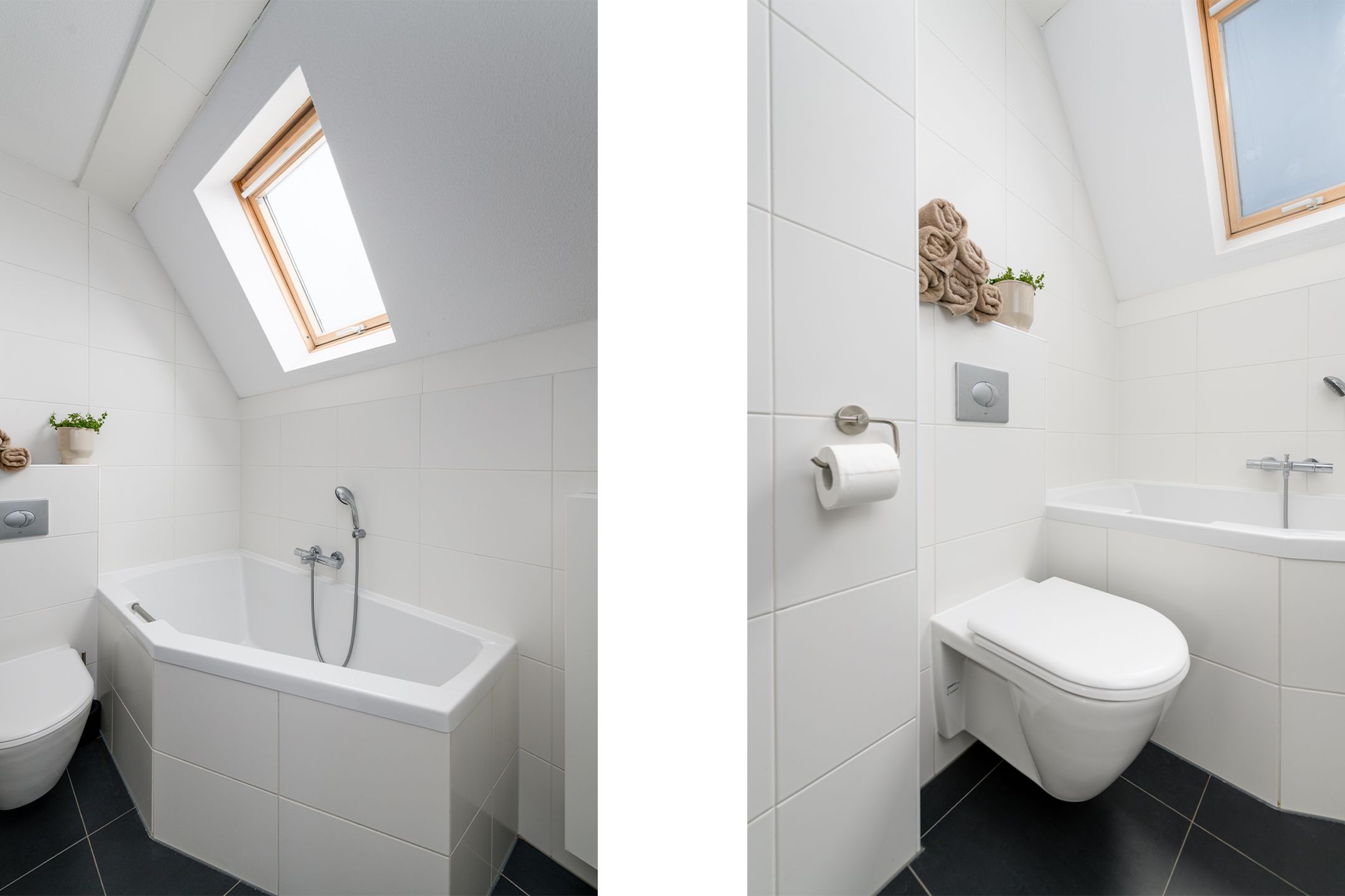 Photo 21 of Kleine vos 10