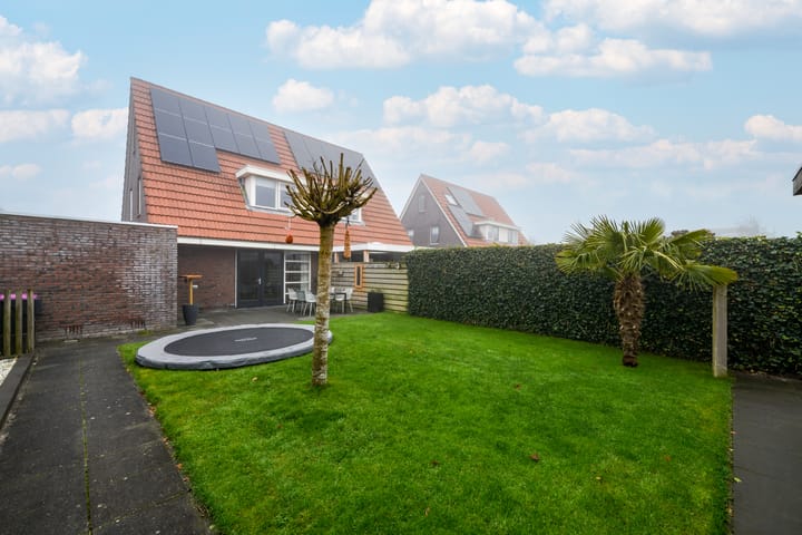 Foto 28 van Kleine vos 10