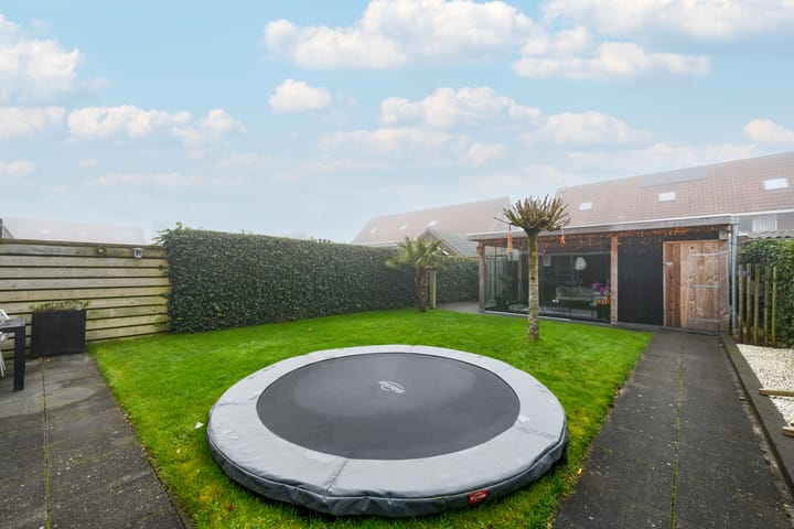 Foto 31 van Kleine vos 10