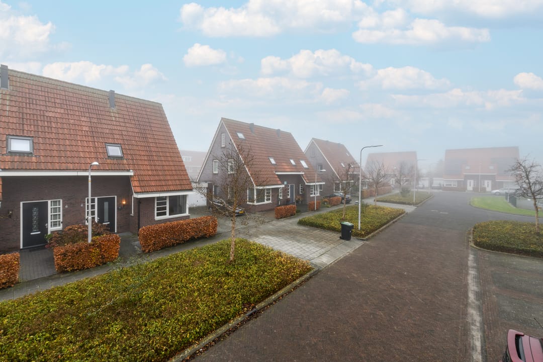 Photo 37 of Kleine vos 10