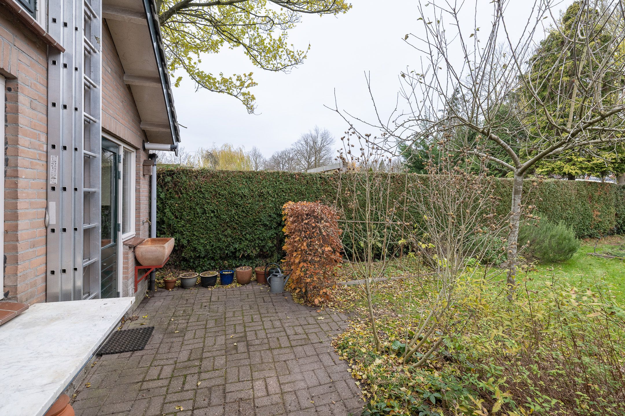 Foto 48 van van der Muelenstraat 33