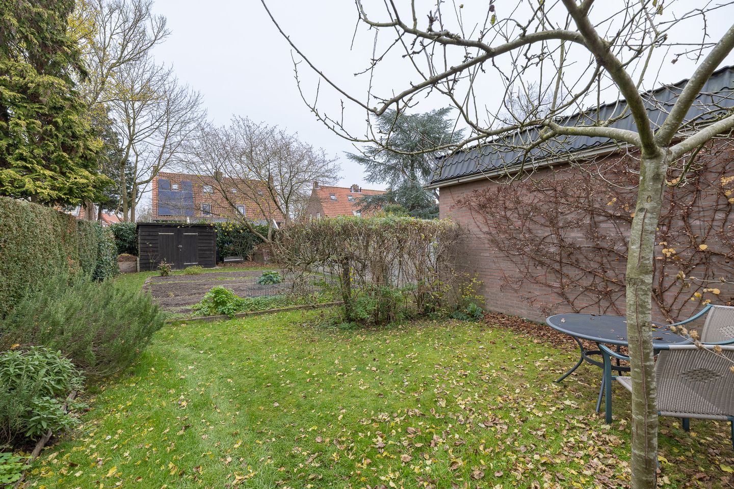 Foto 50 van van der Muelenstraat 33