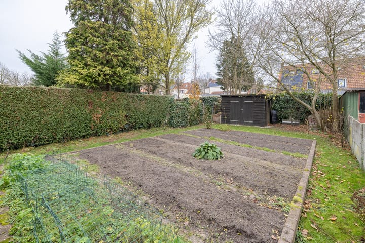 Foto 56 van van der Muelenstraat 33