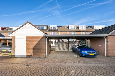 Fluitekruid 20 secondary image