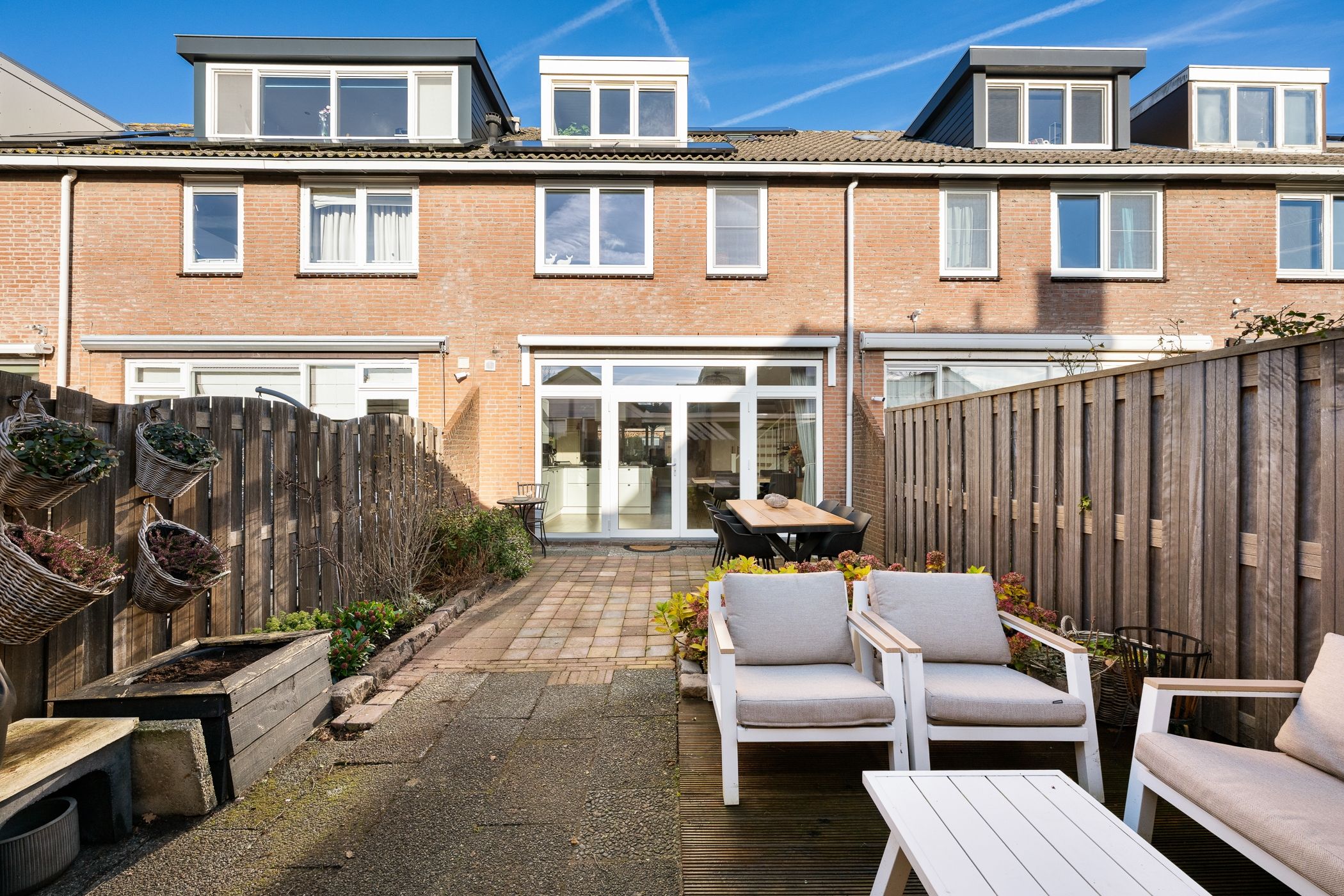 Foto 24 van Fluitekruid 20