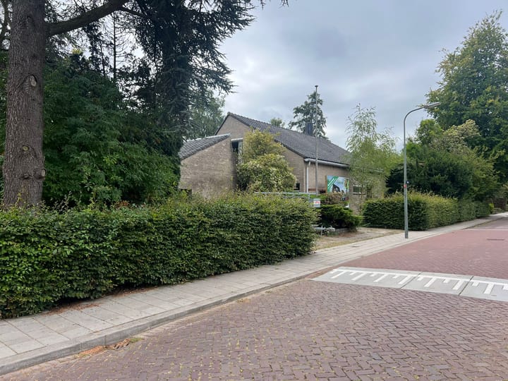 Photo 4 of Robinia 4