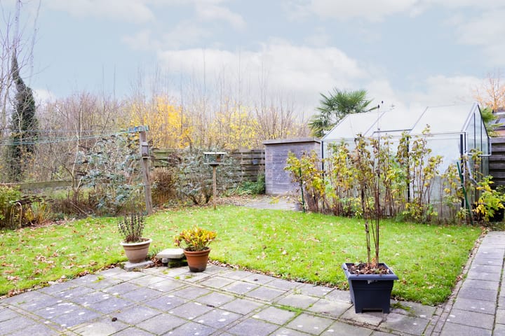 Foto 29 van Druijfplaats 64