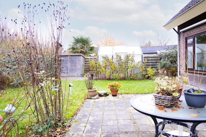 Foto 30 van Druijfplaats 64