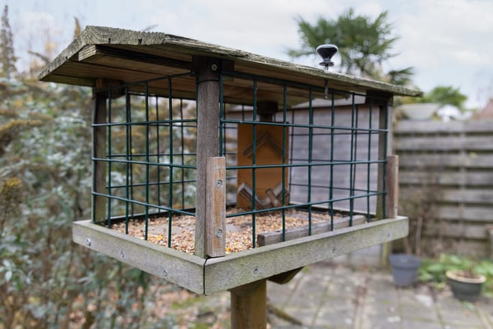 Foto 33 van Druijfplaats 64