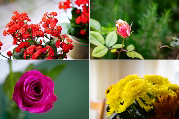 Foto 36 van Druijfplaats 64