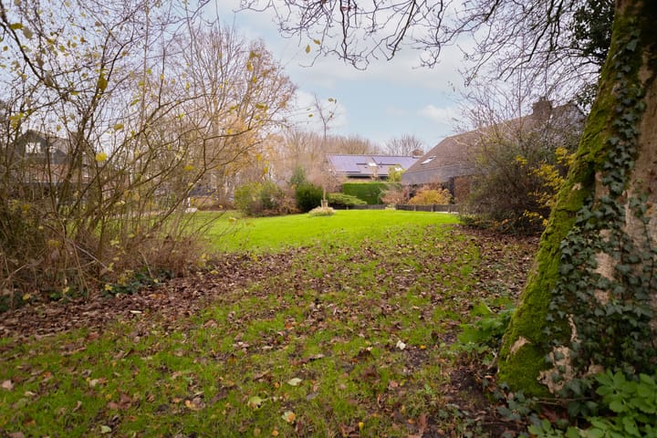 Foto 37 van Druijfplaats 64