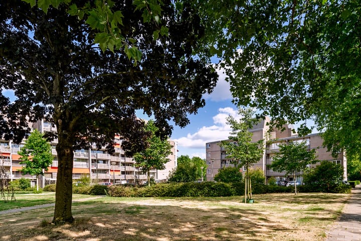 Foto 23 van Nieuwveld 116