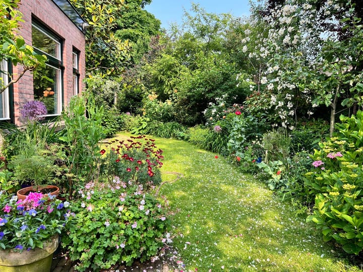 Foto 25 van Talinglaan 21