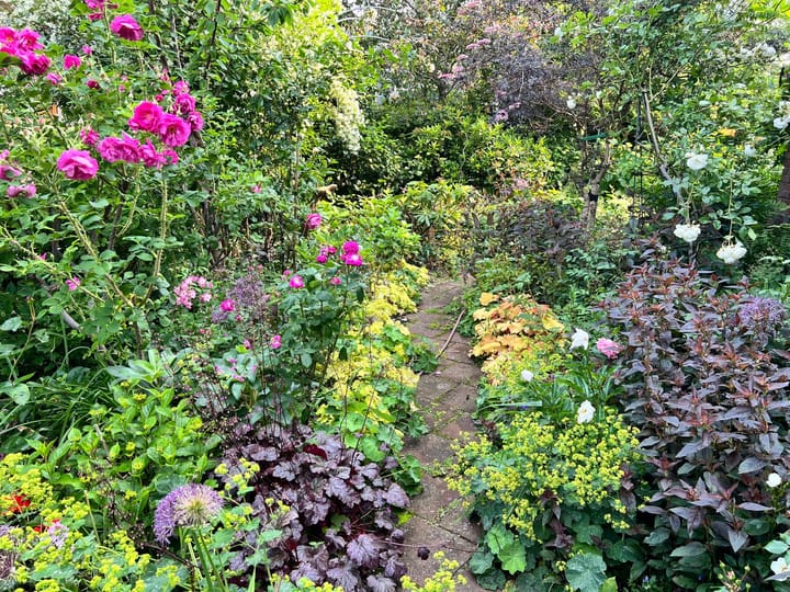 Foto 17 van Talinglaan 21