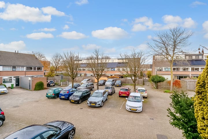 Foto 17 van Kamelenspoor 160