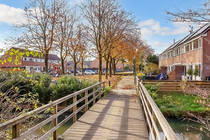 Foto 32 van Kamelenspoor 160