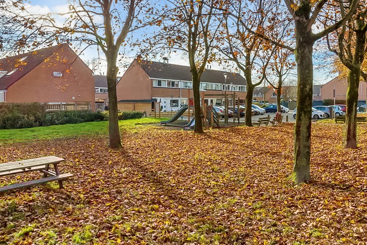 Foto 33 van Kamelenspoor 160