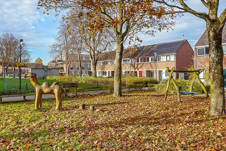 Foto 34 van Kamelenspoor 160