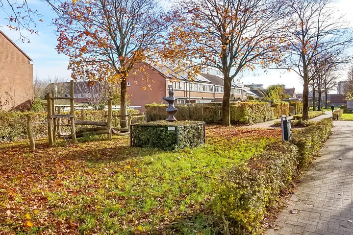 Foto 35 van Kamelenspoor 160