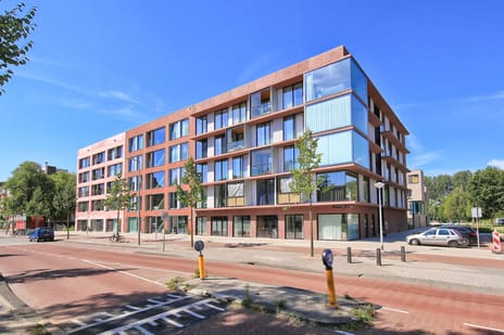 undefined main image