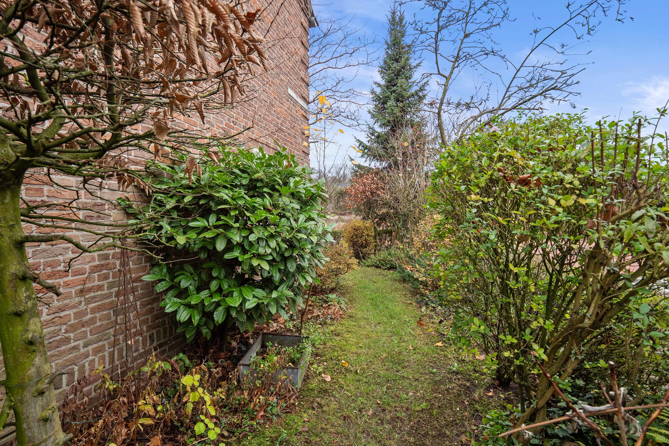 Foto 36 van Pieter Bruegellaan 6