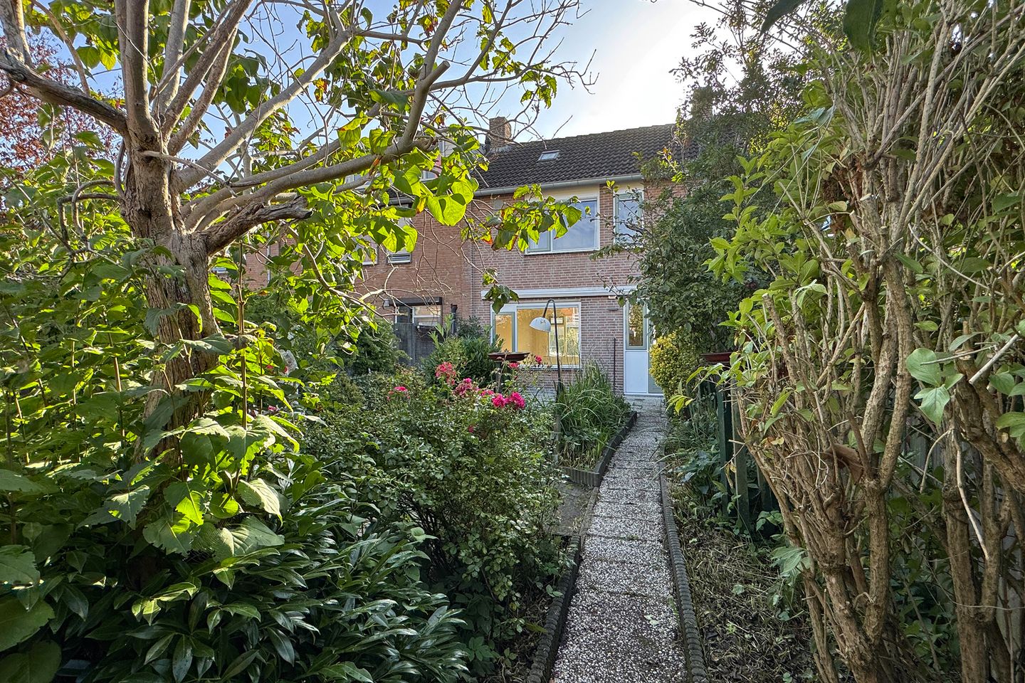 Foto 50 van Kortenaerstraat 18