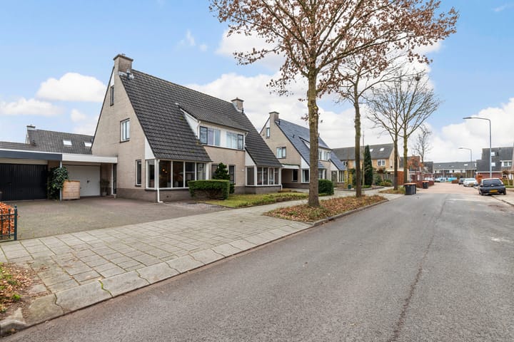 Foto 6 van Bijenkorf 55