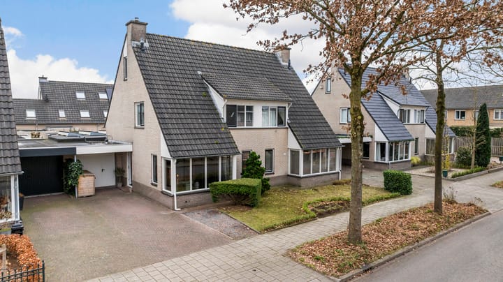 Foto 40 van Bijenkorf 55